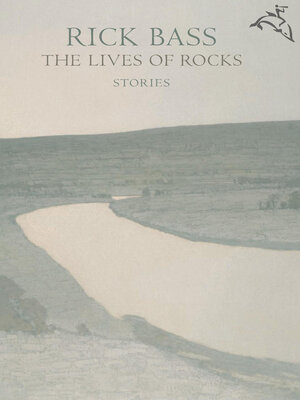 cover image of The Lives of Rocks